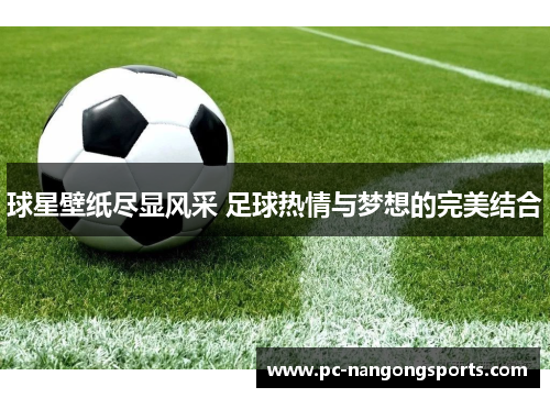 球星壁纸尽显风采 足球热情与梦想的完美结合